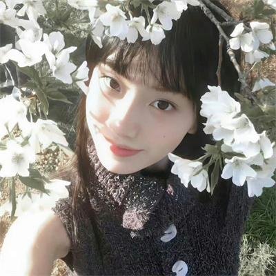 蔷薇少女 序曲