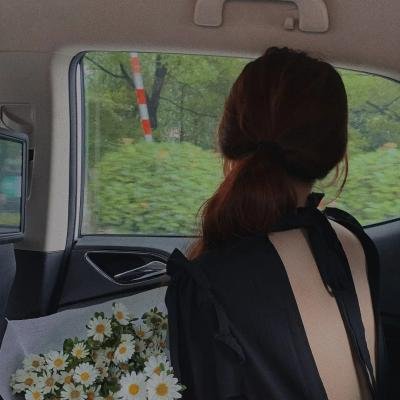 王朝的女人·杨贵妃